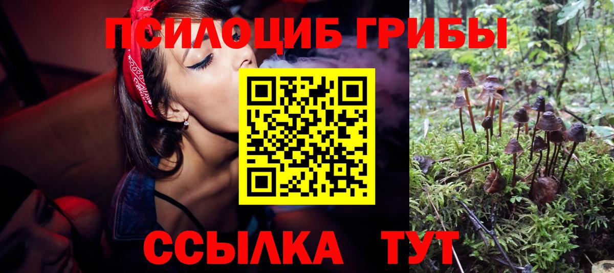 Галлюциногенные грибы мицелий  Галлюциногенные грибы прущие грибы  Вятские Поляны  Вход с VPN 
