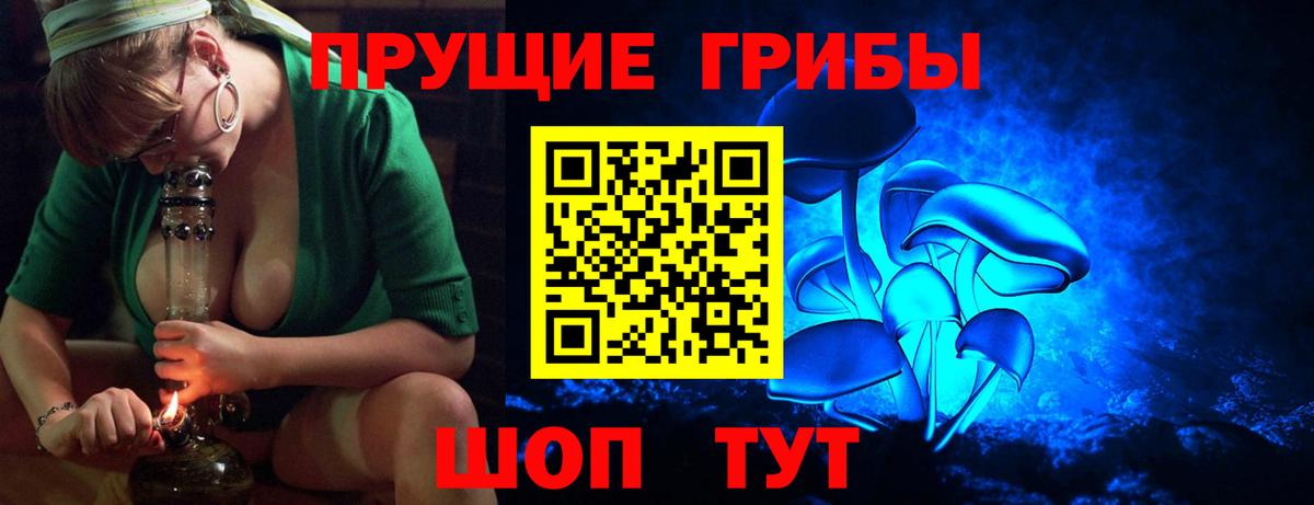 Галлюциногенные грибы Psilocybine cubensis Вятские Поляны